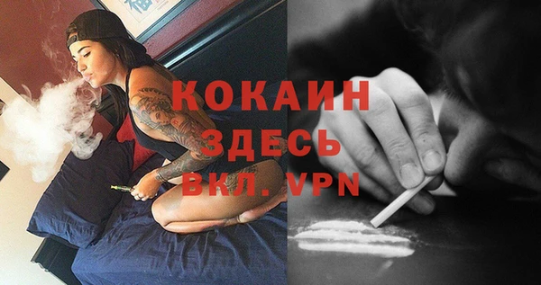 меф Арсеньев
