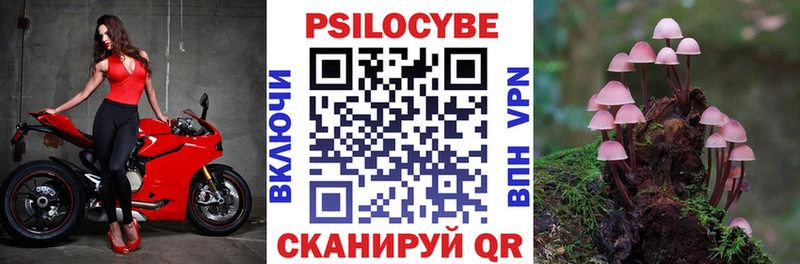 блэк спрут маркетплейс  наркошоп  Камешково  Галлюциногенные грибы Cubensis 
